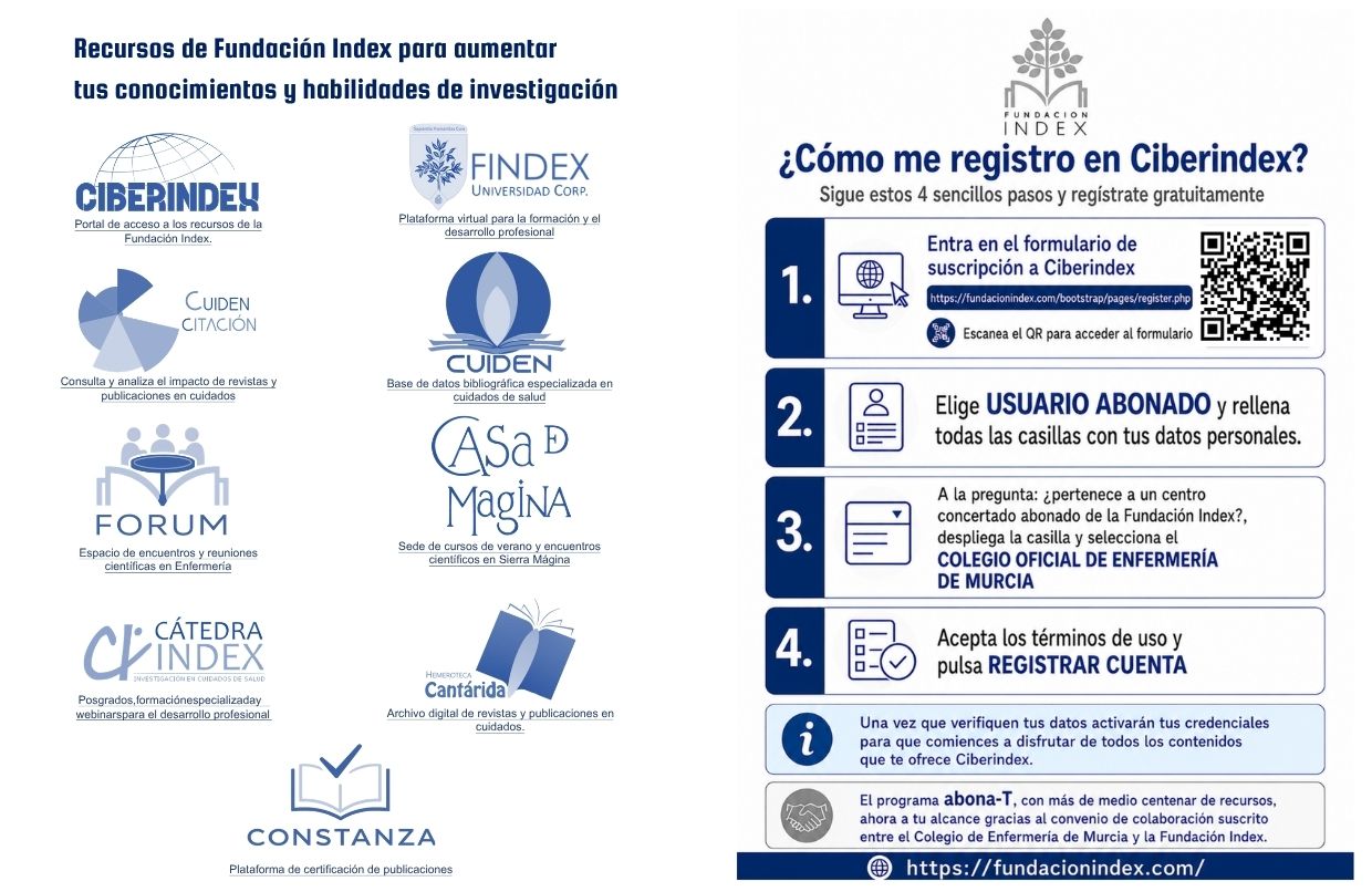 Acceso a la plataforma Ciberindex